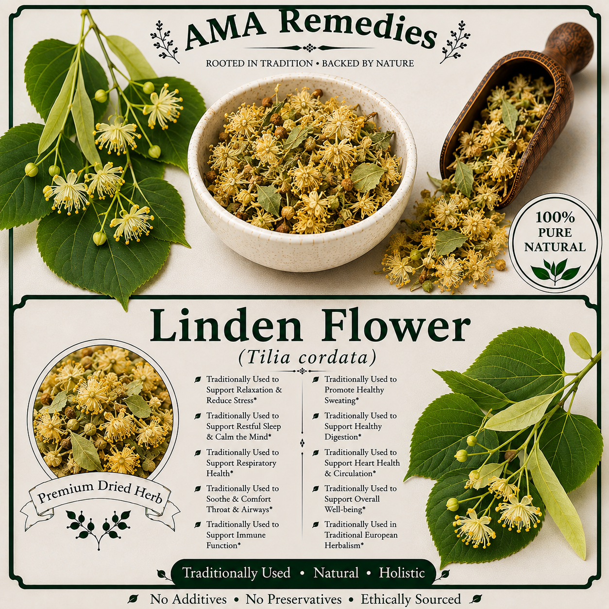 Linden Flower (Tilia cordata)