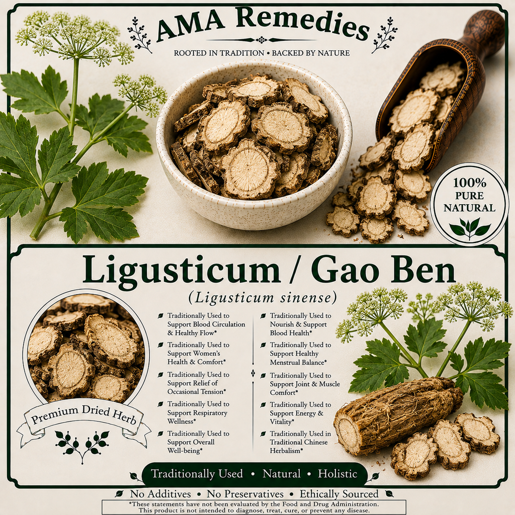 Ligusticum / Gao Ben (Ligusticum sinense) — Dried Rhizome