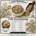 Life Everlasting (Anaphalis margaritacea)