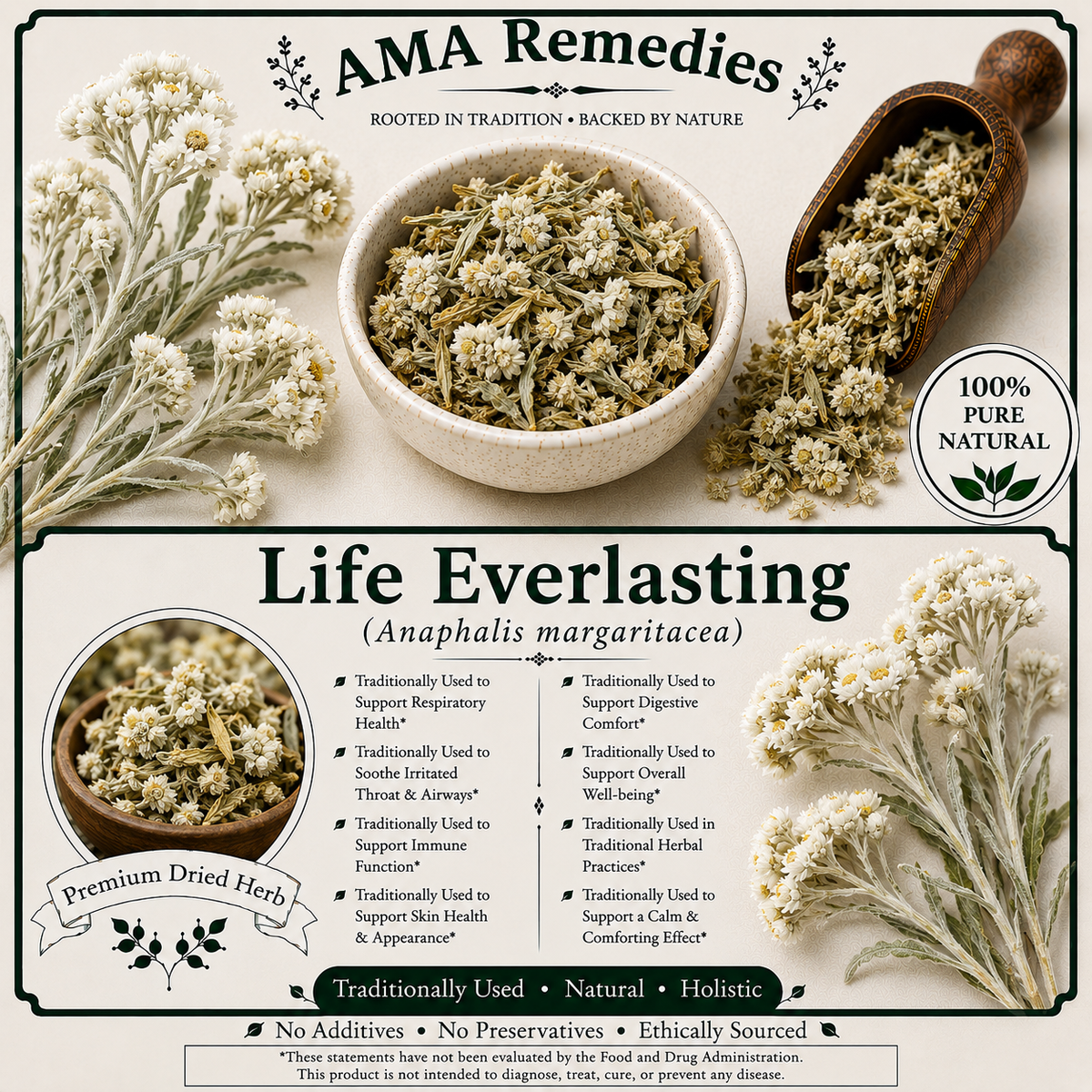 Life Everlasting (Anaphalis margaritacea)