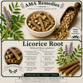 Licorice Root (Glycyrrhiza glabra)