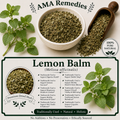 Lemon Balm (Melissa officinalis) — Dried Leaves