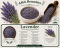 Lavender (Lavandula angustifolia) — Dried Flowers