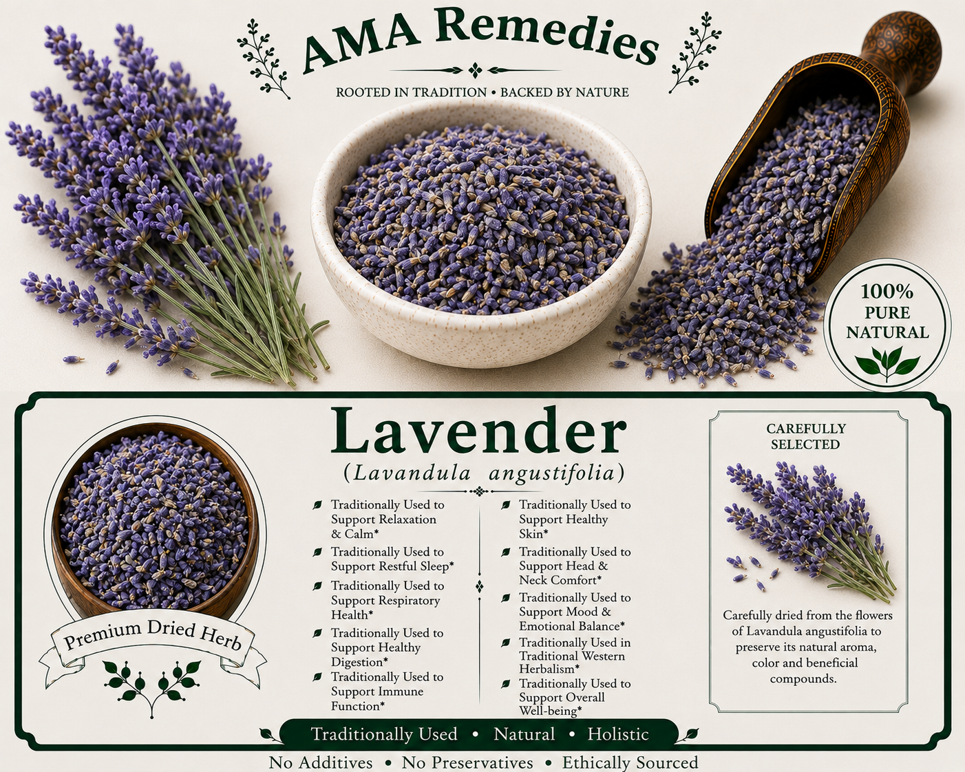 Lavender (Lavandula angustifolia)