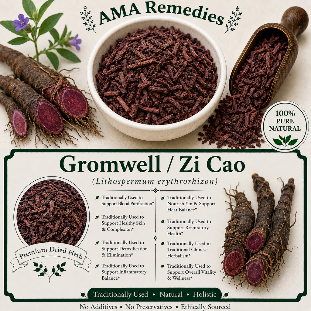 Gromwell / Zi Cao (Lithospermum erythrorhizon)