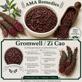 Gromwell / Zi Cao (Lithospermum erythrorhizon)