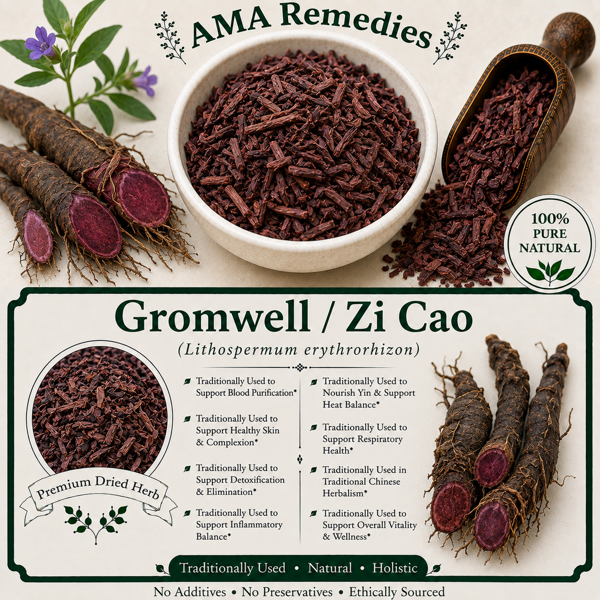 Gromwell / Zi Cao (Lithospermum erythrorhizon)
