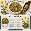 Grindelia (Grindelia robusta)