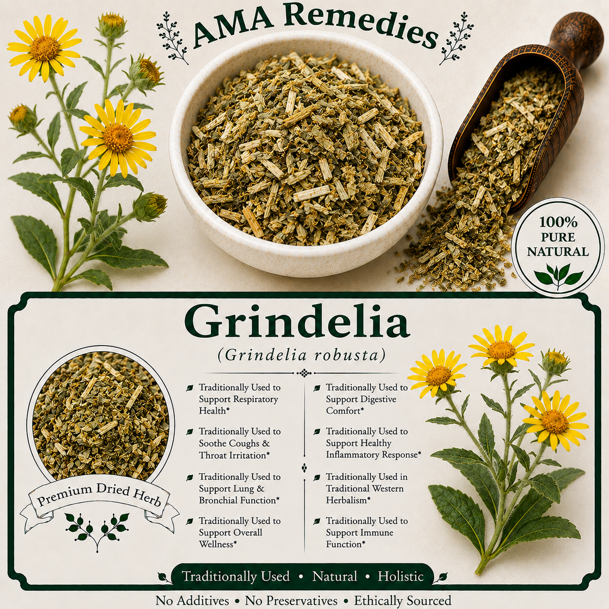 Grindelia (Grindelia robusta)