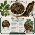 Griffonia (Griffonia simplicifolia) — Dried Seeds