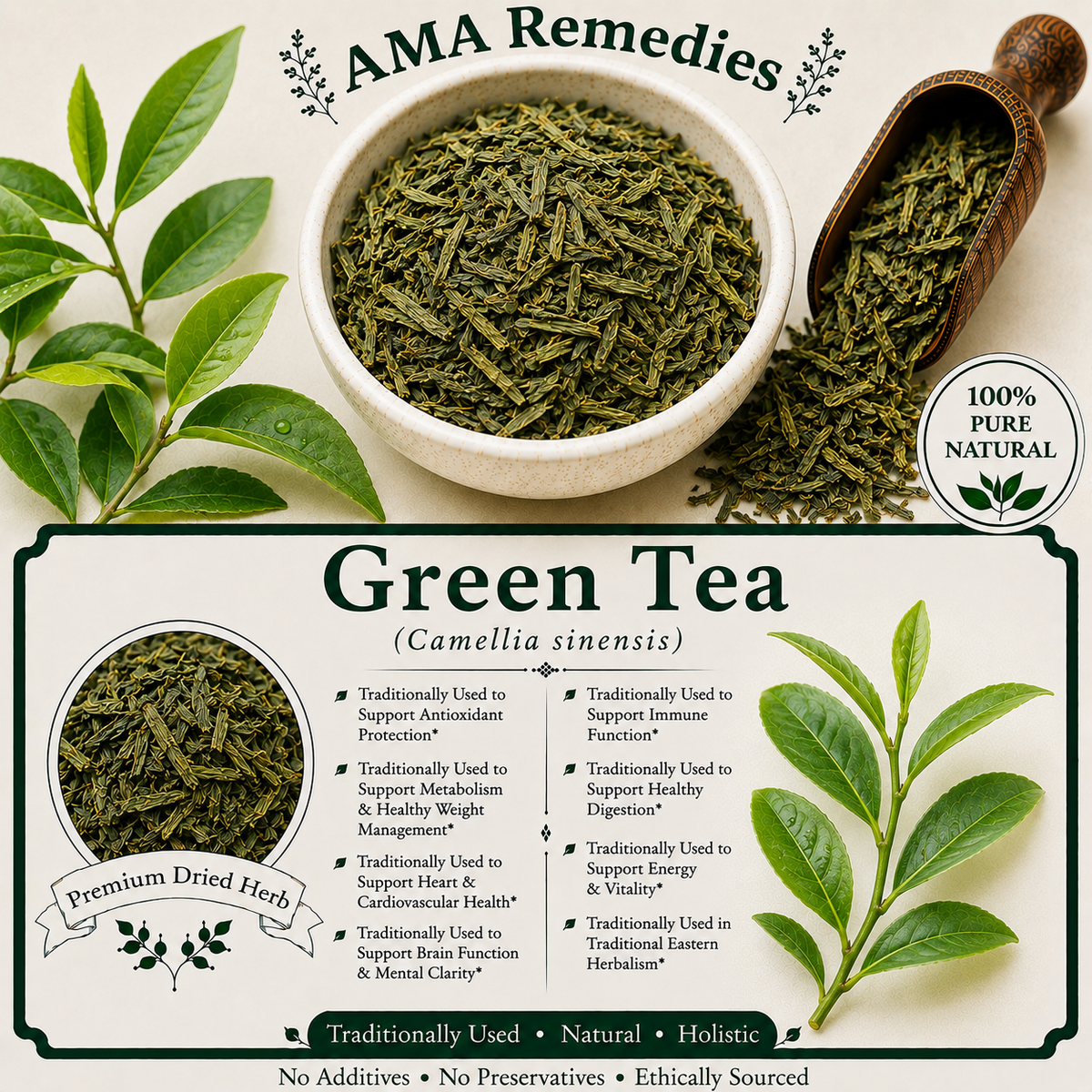 Green Tea (Camellia sinensis) — Dried Leaves
