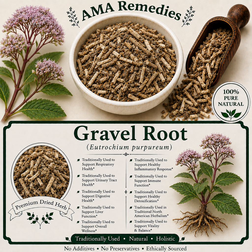 Gravel Root (Eutrochium purpureum)