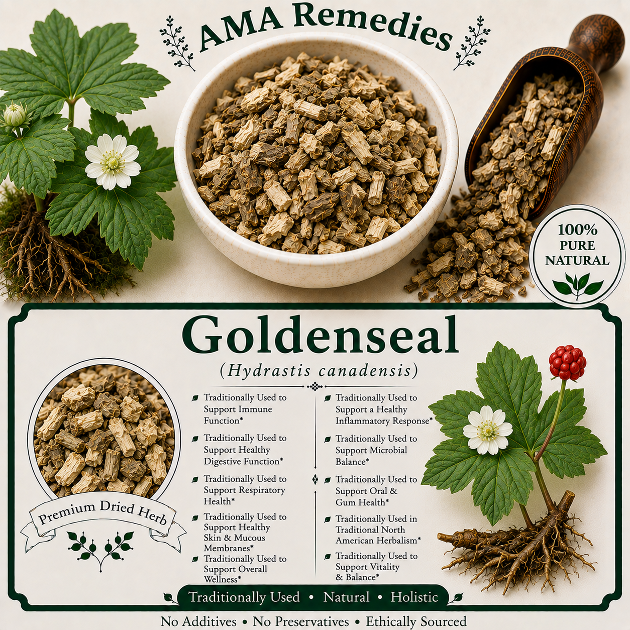 Goldenseal (Hydrastis canadensis)