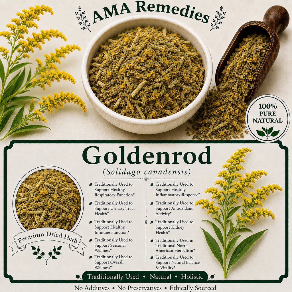 Goldenrod (Solidago canadensis)