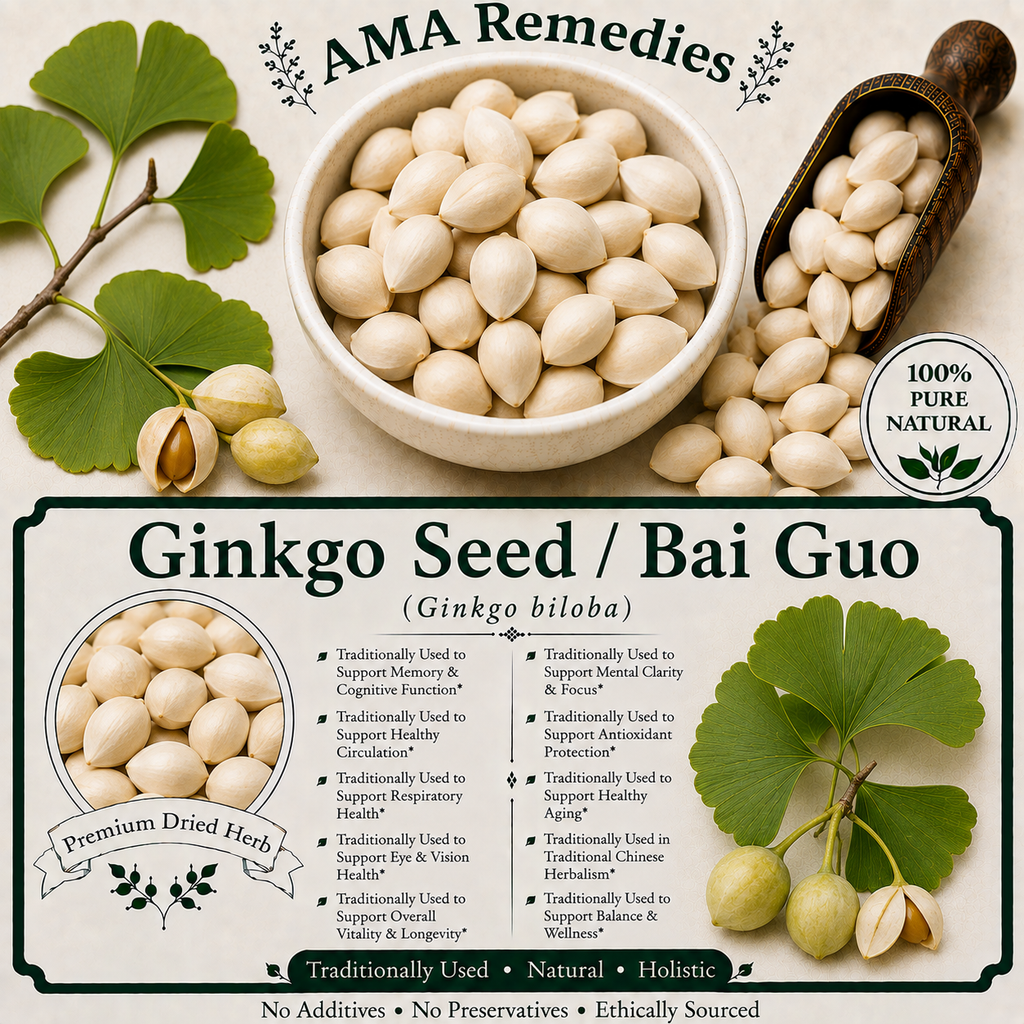 Ginkgo Seed / Bai Guo (Ginkgo biloba)