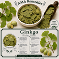Ginkgo (Ginkgo biloba)