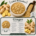 Ginger (Zingiber officinale)