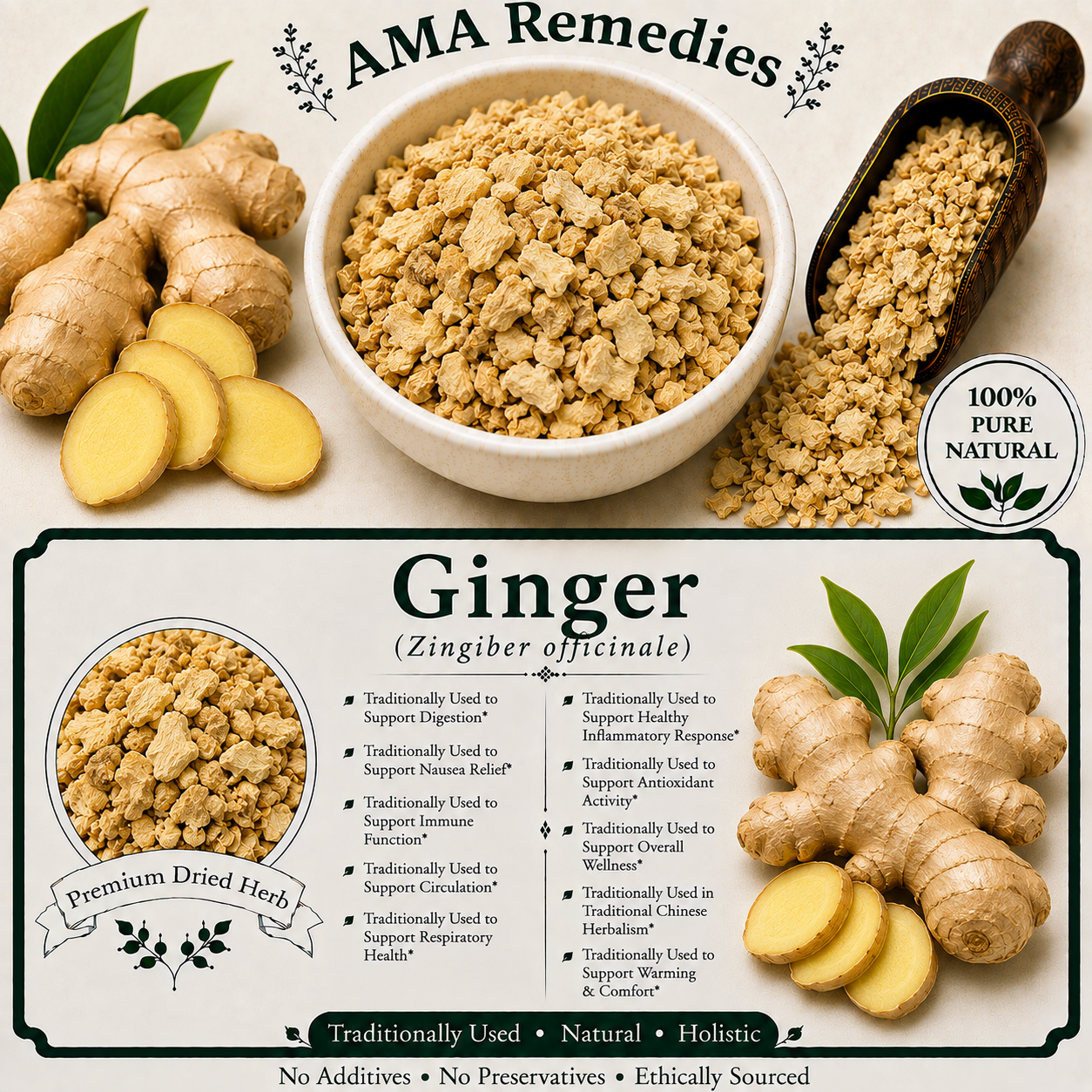 Ginger (Zingiber officinale)