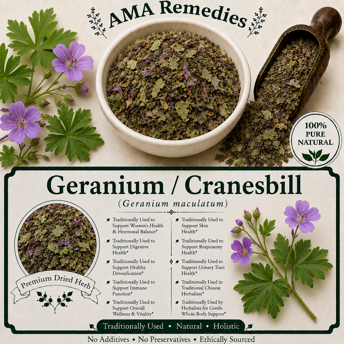 Geranium / Cranesbill (Geranium maculatum) — Dried Rhizome
