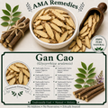 Gan Cao (Glycyrrhiza uralensis)
