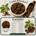 Gambir (Uncaria gambir)