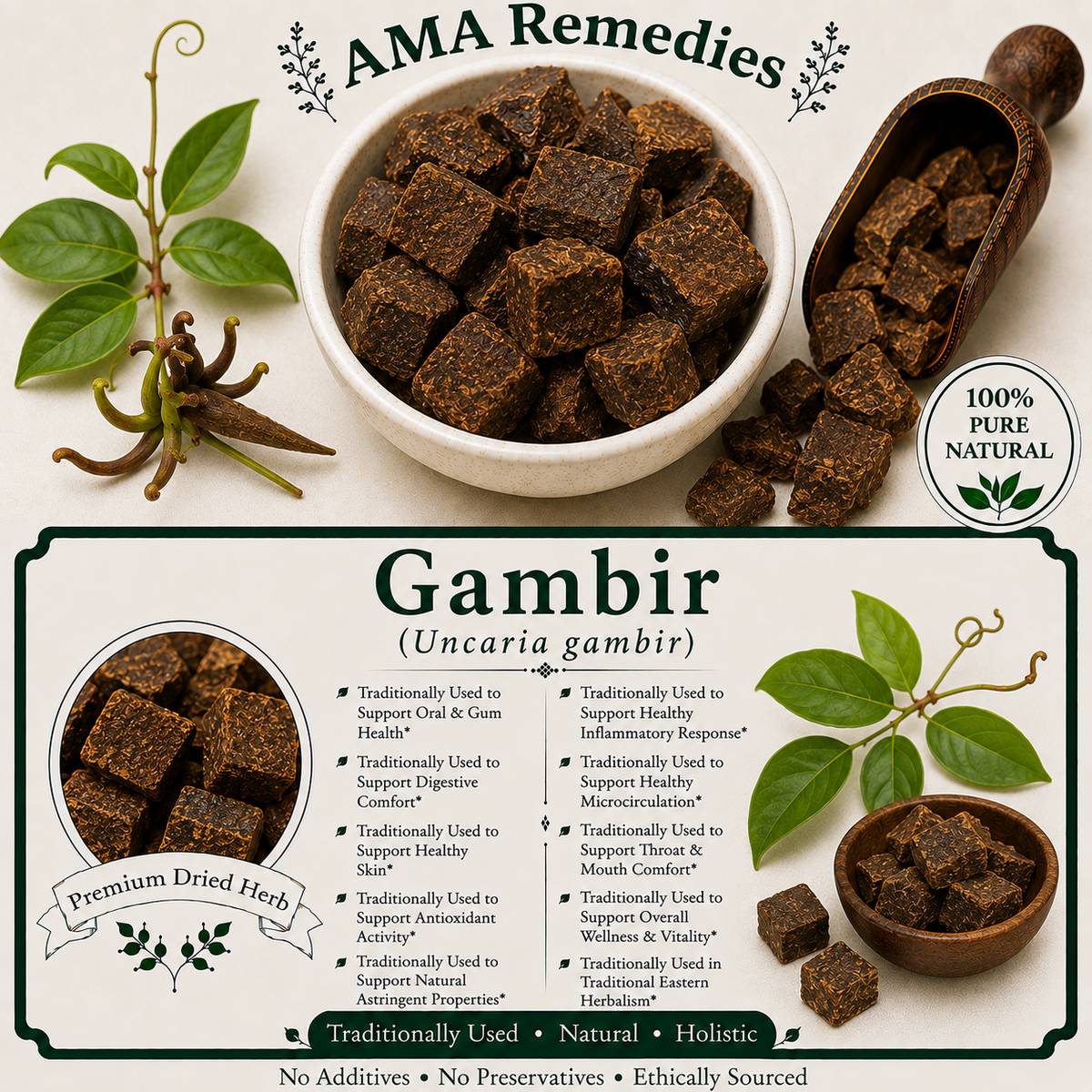 Gambir (Uncaria gambir)