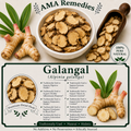 Galangal (Alpinia galanga) — Dried Rhizome