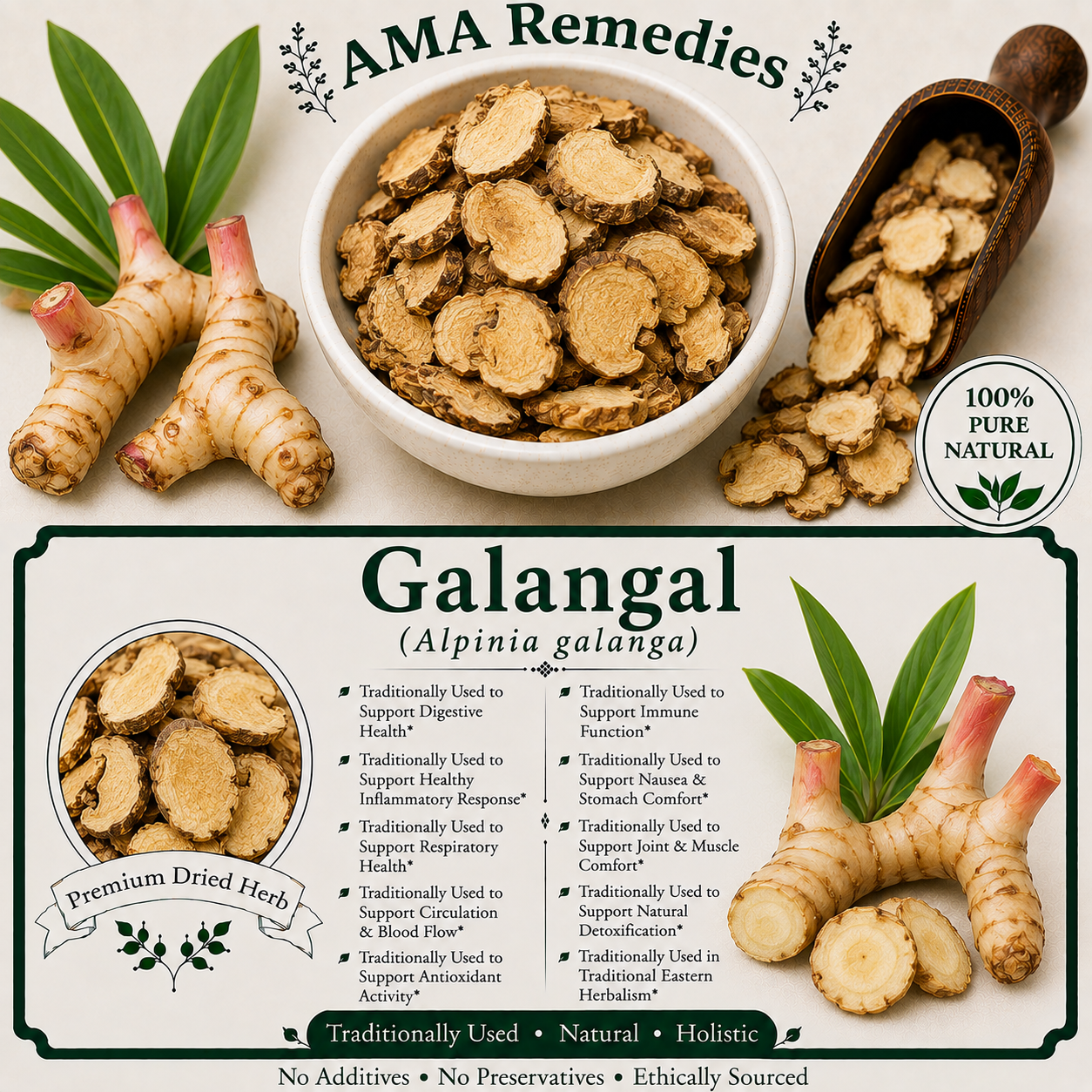 Galangal (Alpinia galanga)