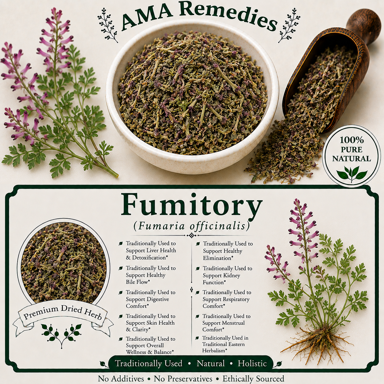Fumitory (Fumaria officinalis)