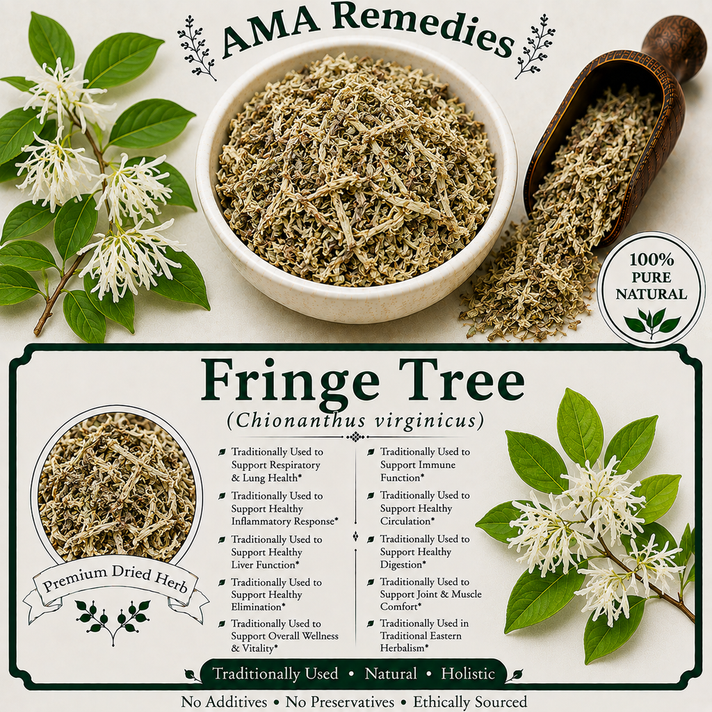 Fringe Tree (Chionanthus virginicus)