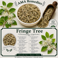 Fringe Tree (Chionanthus virginicus)
