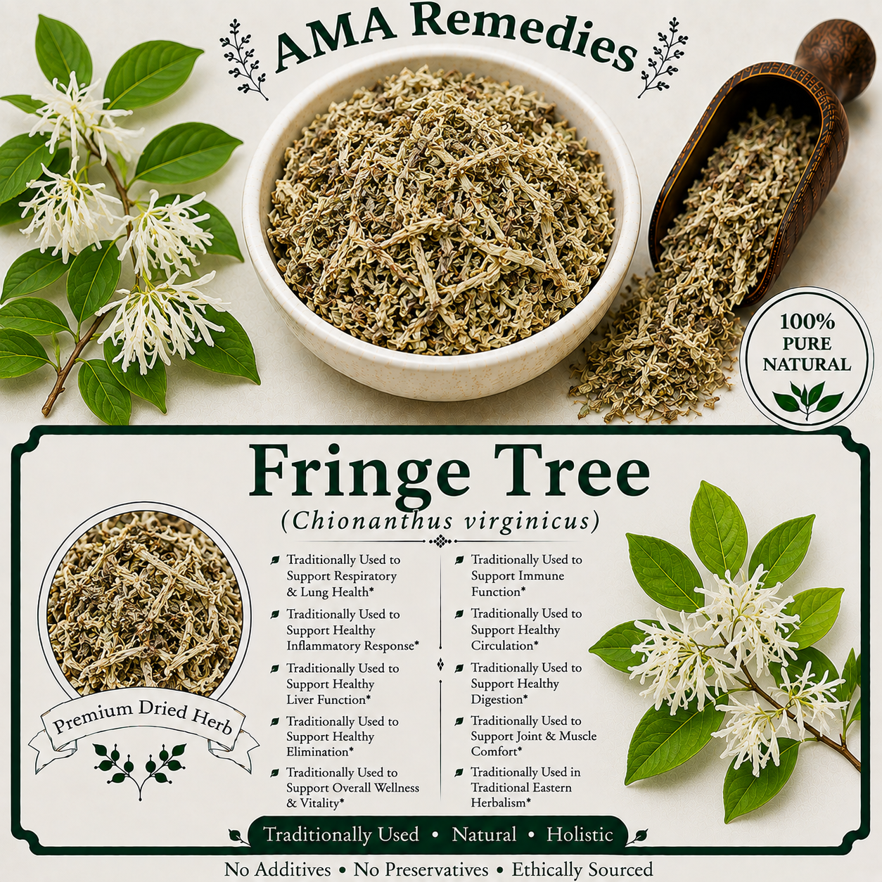 Fringe Tree (Chionanthus virginicus)