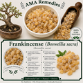 Frankincense Resin (Boswellia sacra)