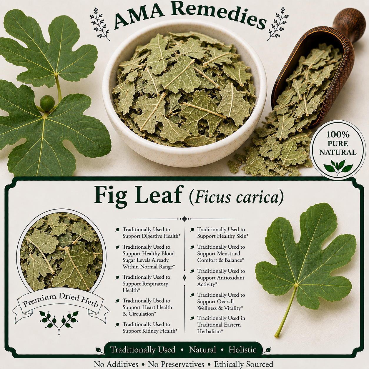 Fig Leaf (Ficus carica)