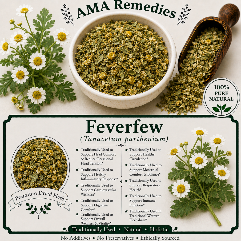 Feverfew (Tanacetum parthenium)
