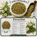Feverfew (Tanacetum parthenium)