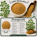 Fenugreek (Trigonella foenum-graecum)