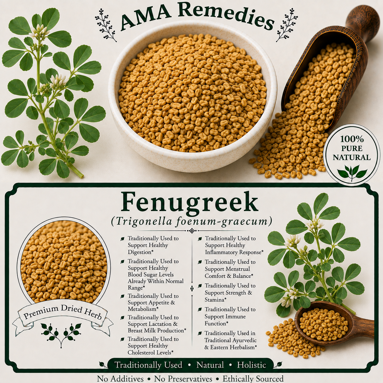 Fenugreek (Trigonella foenum-graecum)