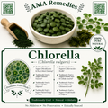 Chlorella (Chlorella vulgaris) — Dried Algae