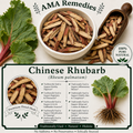 Chinese Rhubarb (Rheum palmatum)