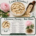 Chinese Peony / Bai Shao (Paeonia lactiflora)