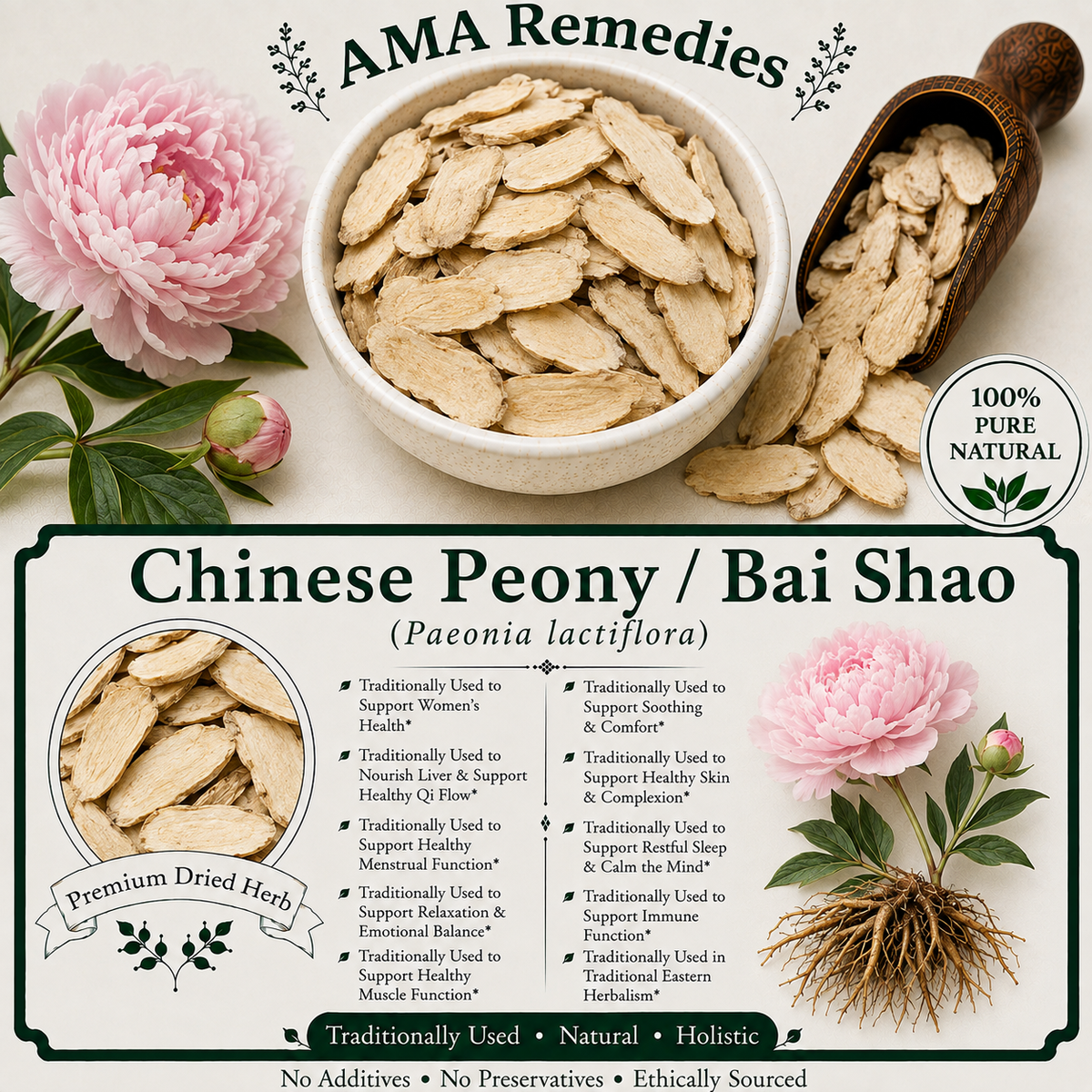 Chinese Peony / Bai Shao (Paeonia lactiflora)