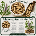 Chinese Licorice (Glycyrrhiza uralensis)