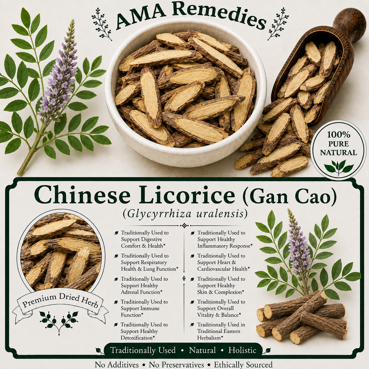 Chinese Licorice (Glycyrrhiza uralensis)