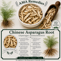 Chinese Asparagus Root (Asparagus cochinchinensis)