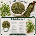 Chickweed (Stellaria media)