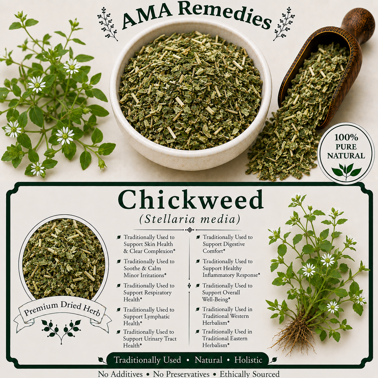 Chickweed (Stellaria media)