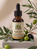 Olive Leaf Tincture