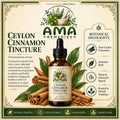 Ceylon Cinnamon Tincture (Cinnamomum verum) - Small Batch Herbal Extract