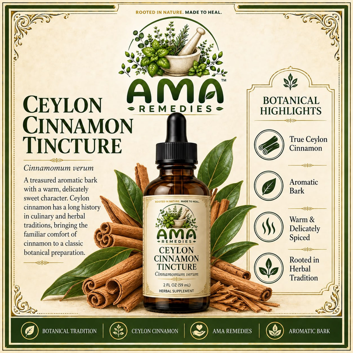 Ceylon Cinnamon Tincture (Cinnamomum verum) - Small Batch Herbal Extract